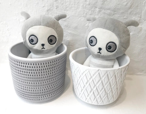 LUCKY BOY SUNDAY - Baby Nulle